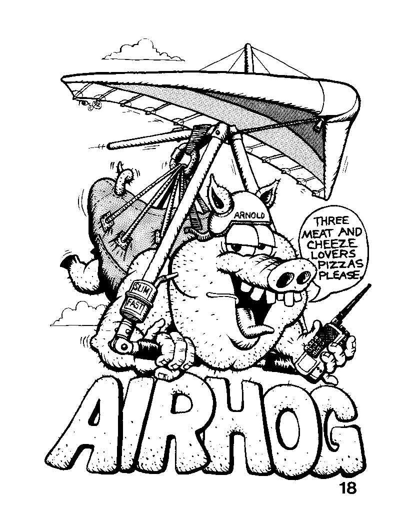 airhog.jpg